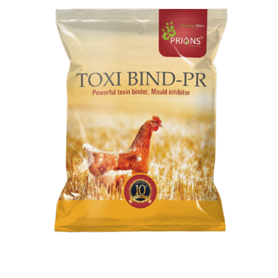 توکسین بایندر