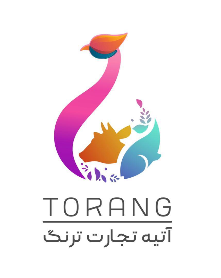 شرکت بازرگانی آتیه تجارت ترنگ 